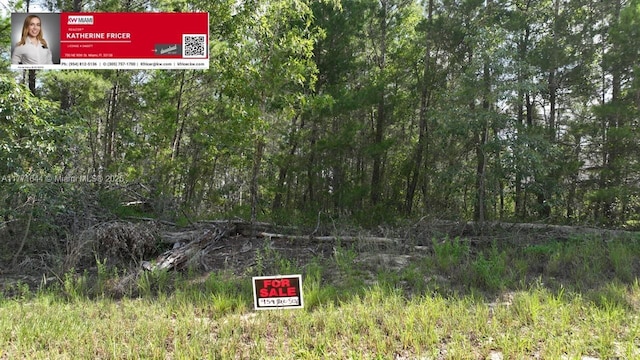 40 Village Center Dr, Homosassa Springs, FL 34446