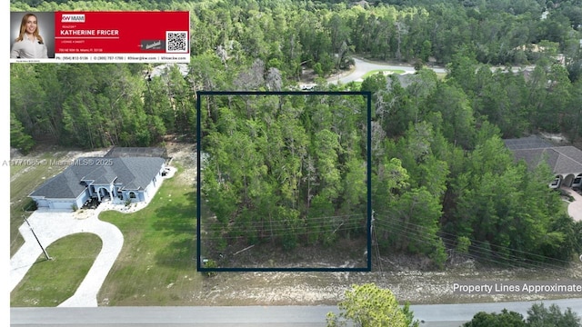42 Village Center Dr, Homosassa Springs, FL 34446