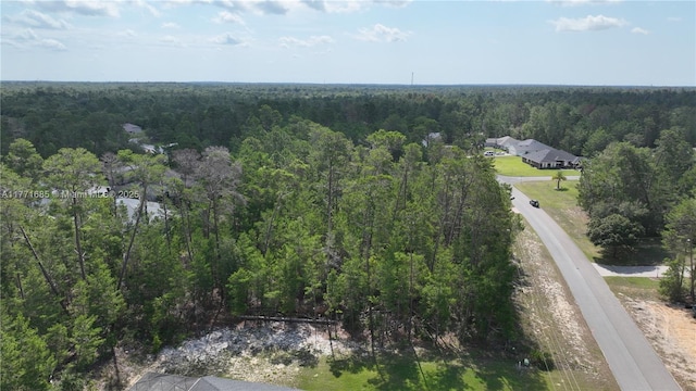 42 Village Center Dr, Homosassa Springs, FL 34446