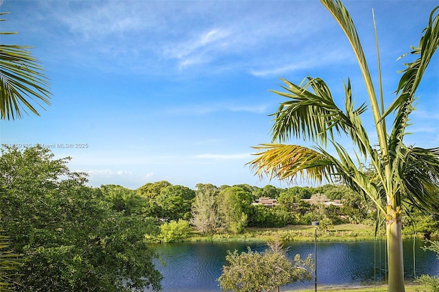 water view