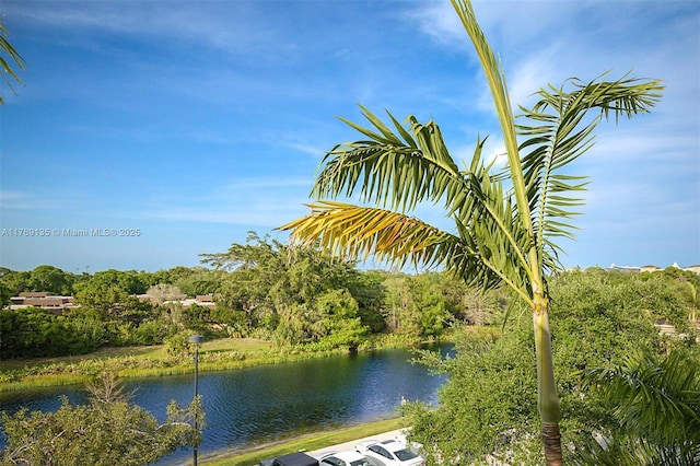water view
