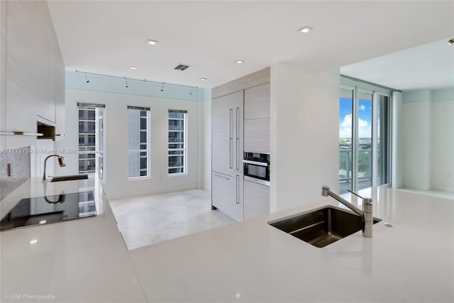 2645 S Bayshore Dr Unit 902, Miami, FL 33133 - kitchen featuring a sink, black electric cooktop, and modern cabinets