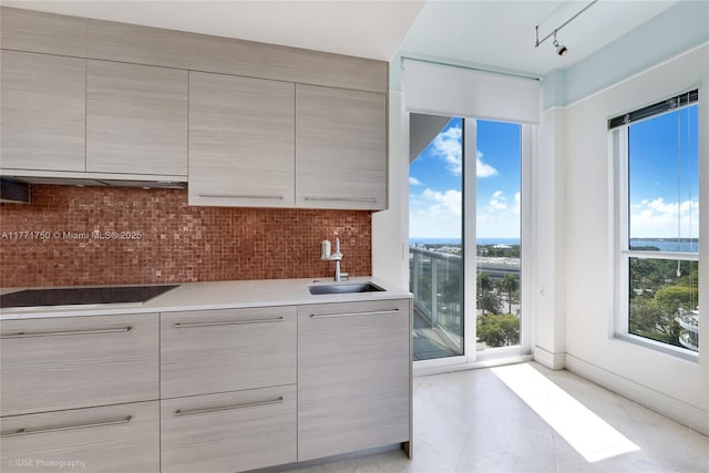 2645 S Bayshore Dr Unit 902, Miami, FL 33133 - kitchen with black electric stovetop, modern cabinets, and a sink
