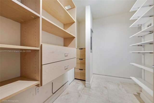 2645 S Bayshore Dr Unit 902, Miami, FL 33133 - view of walk in closet