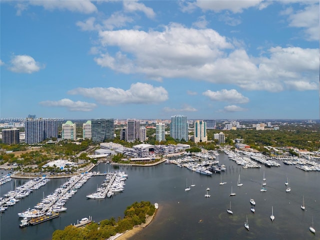 2645 S Bayshore Dr Unit 902, Miami, FL 33133 - view of urban area with a marina and a nearby body of water