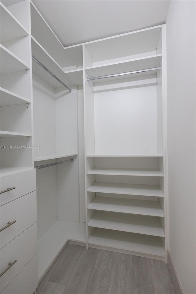 spacious closet featuring wood finished floors
