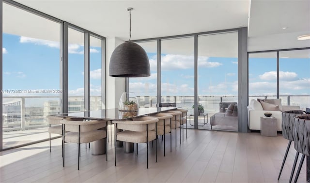 dining area with expansive windows and wood finished floors