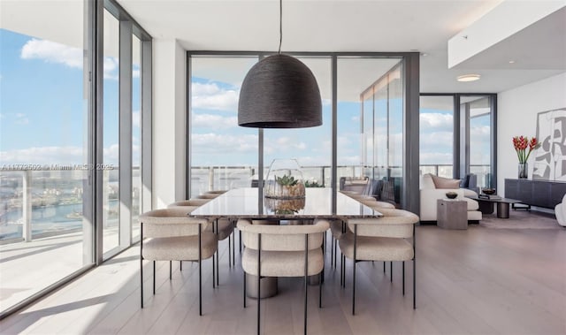 dining area featuring a wealth of natural light, wood finished floors, and floor to ceiling windows