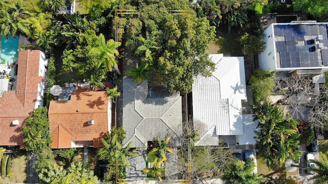 bird's eye view
