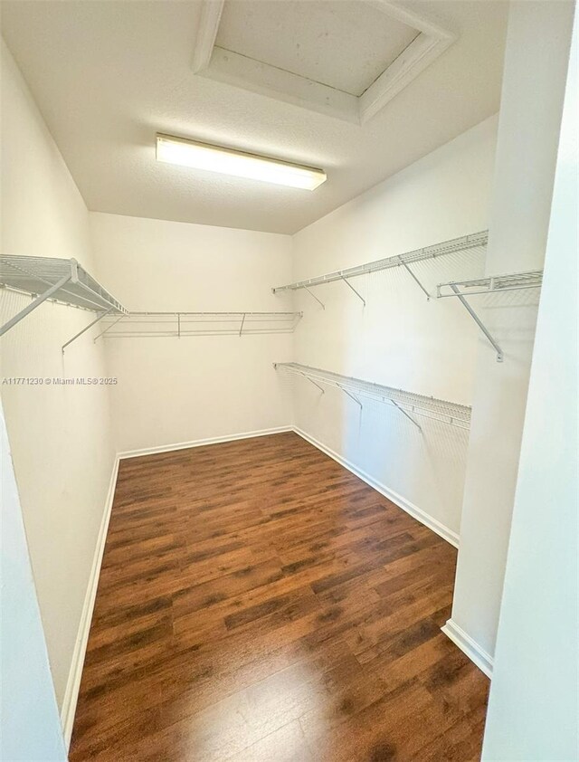 3210 NW 126th Ave Unit 3210, Sunrise, FL 33323 - spacious closet with wood finished floors