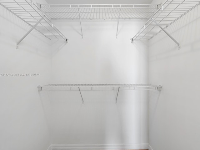 view of walk in closet