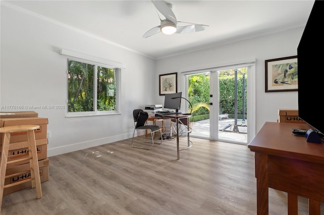 office area featuring crown molding, wood finished floors, ceiling fan, and baseboards