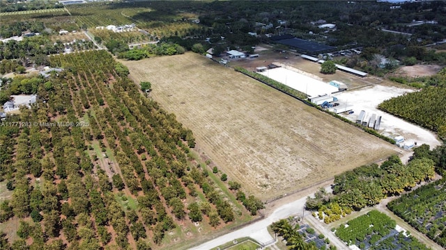 14350 SW 232nd St, Lease Only Miami, FL 33170 - photo 3