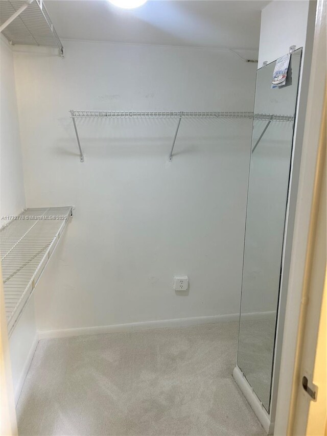 5701 Collins Ave Unit 812, Miami Beach, FL 33140 - spacious closet with carpet flooring