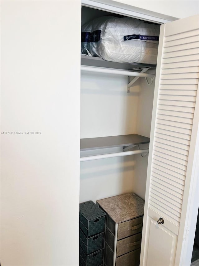 view of closet