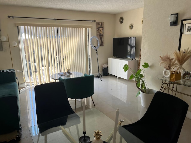 9491 N Palm Cir N Unit 9491, Pembroke Pines, FL 33025 - tiled living area with a textured wall and a textured ceiling