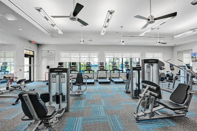 workout area featuring recessed lighting, carpet floors, and a ceiling fan