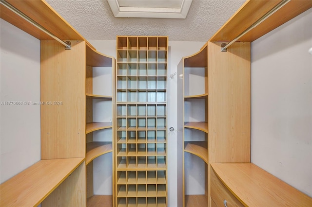 2030 Bayberry Dr Unit 2030, Pembroke Pines, FL 33024 - view of spacious closet