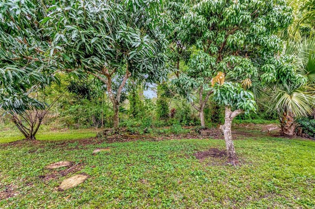 10234 Oak Meadow Ln, Lake Worth, FL 33449 - photo 53