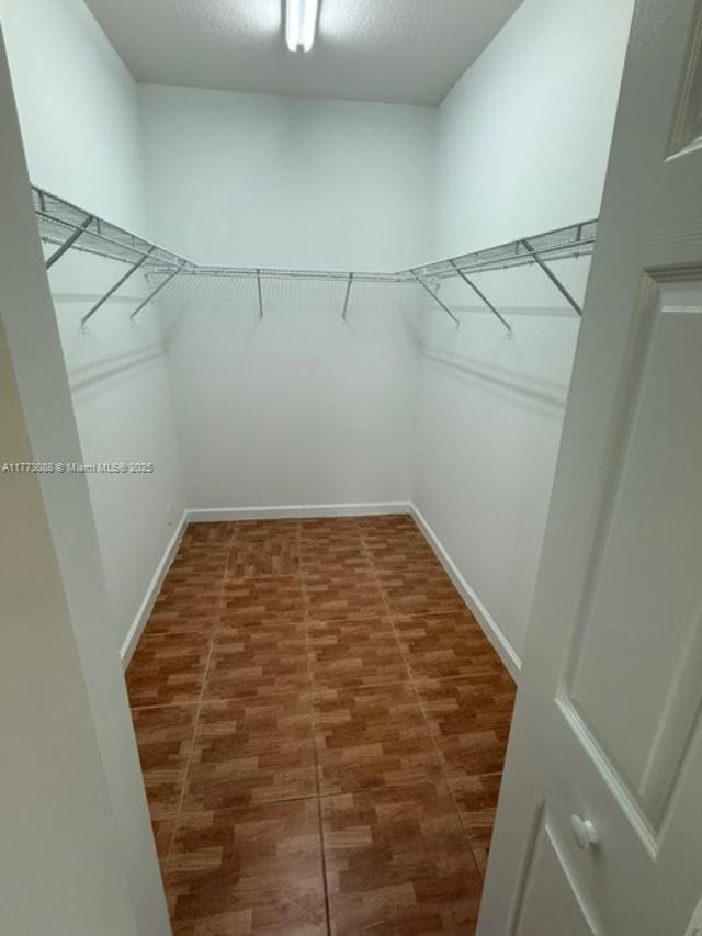 spacious closet featuring wood finished floors