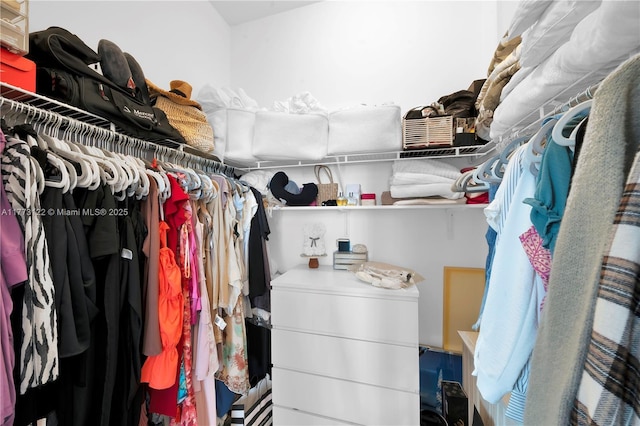 244 Biscayne Blvd Unit 206, Miami, FL 33132 - view of walk in closet