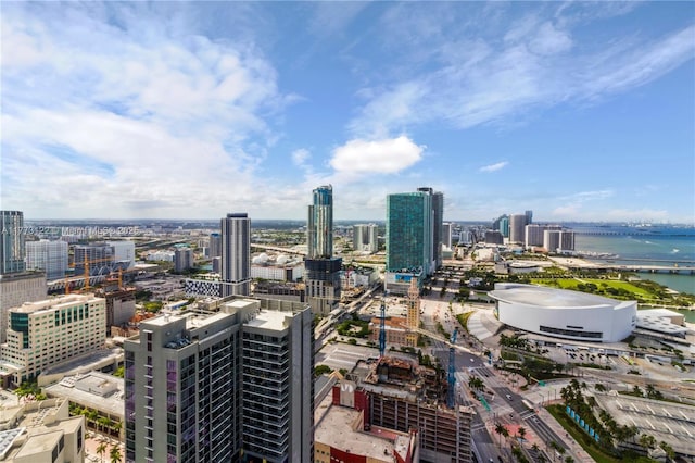 244 Biscayne Blvd Unit 206, Miami, FL 33132 - view of city with a large body of water