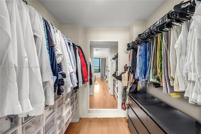 walk in closet with light wood-style floors