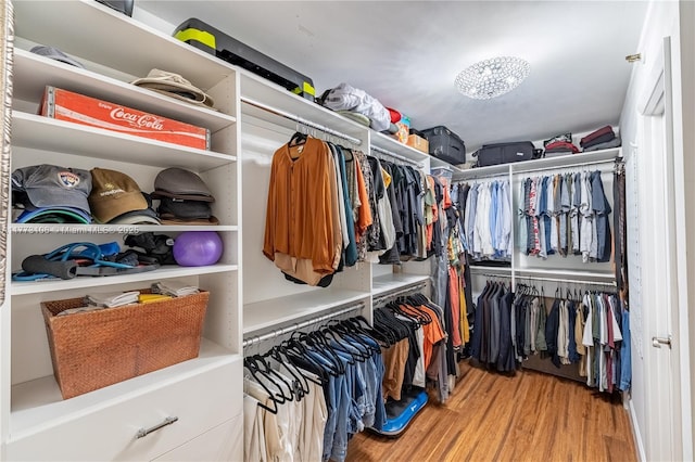 walk in closet with wood finished floors