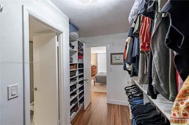 walk in closet featuring wood finished floors