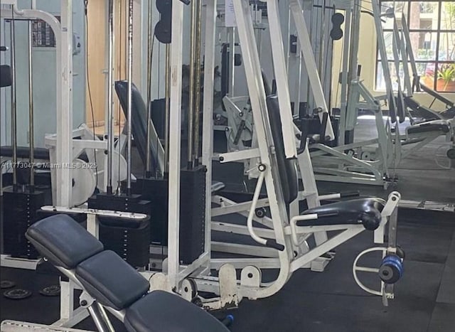 2445 SW 18th Ter Unit 1119, Fort Lauderdale, FL 33315 - view of exercise room