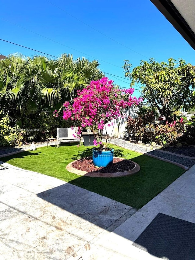 11845 SW 3rd St, Miami, FL 33184 - view of yard