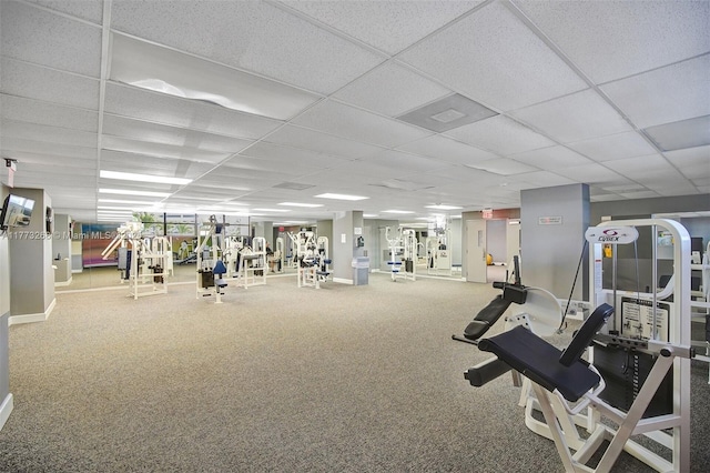 workout area featuring baseboards, a paneled ceiling, and carpet