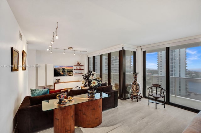 20281 E Country Club Dr Unit 1002, Aventura, FL 33180 - living room with light wood-style flooring, plenty of natural light, and track lighting