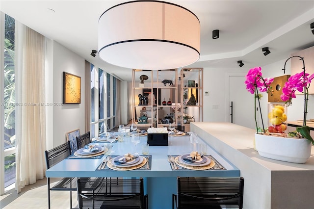 dining room with a wealth of natural light