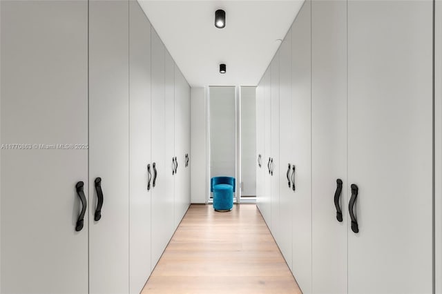 walk in closet featuring light wood-style floors