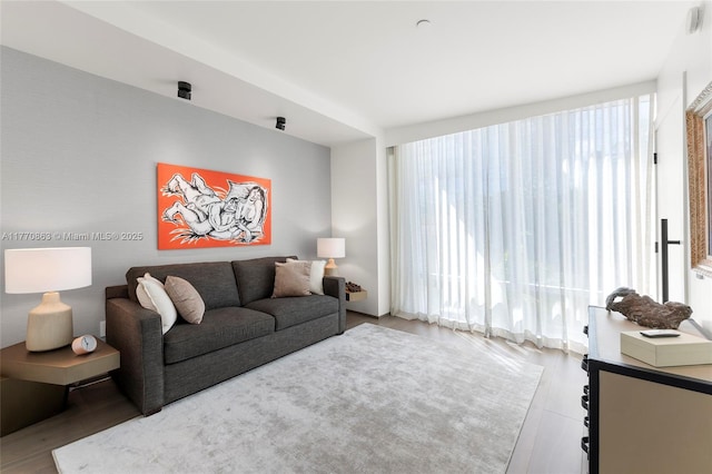 living room featuring wood finished floors