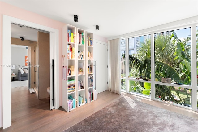 unfurnished room featuring a wealth of natural light and wood finished floors