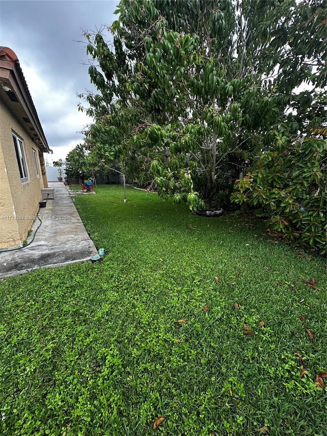 view of yard