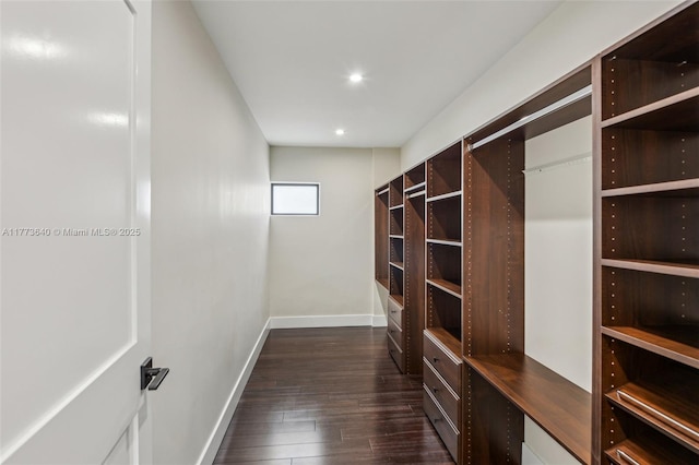 20160 NW 9th Dr, Pembroke Pines, FL 33029 - spacious closet featuring dark wood-style flooring