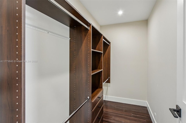 20160 NW 9th Dr, Pembroke Pines, FL 33029 - spacious closet with dark wood-type flooring