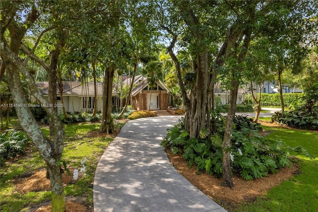 9000 Arvida Dr, Coral Gables, FL 33156 - view of home's community