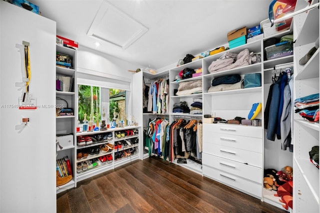 9000 Arvida Dr, Coral Gables, FL 33156 - spacious closet featuring attic access and wood finished floors