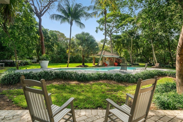 9000 Arvida Dr, Coral Gables, FL 33156 - surrounding community with a lawn, a pool, and a patio area