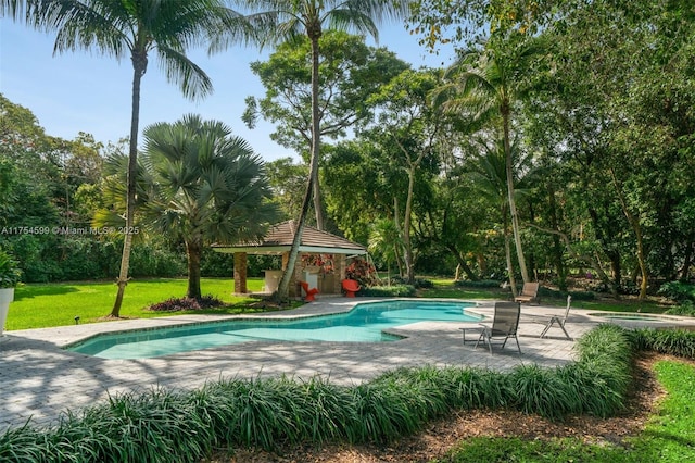 9000 Arvida Dr, Coral Gables, FL 33156 - outdoor pool featuring a jacuzzi, a gazebo, a yard, and a patio