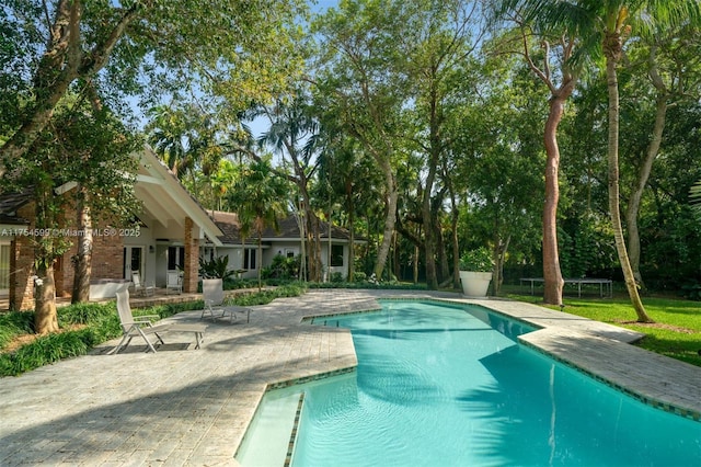 9000 Arvida Dr, Coral Gables, FL 33156 - outdoor pool featuring a trampoline and a patio area