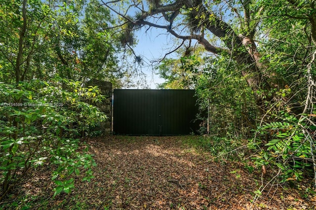 9000 Arvida Dr, Coral Gables, FL 33156 - view of yard