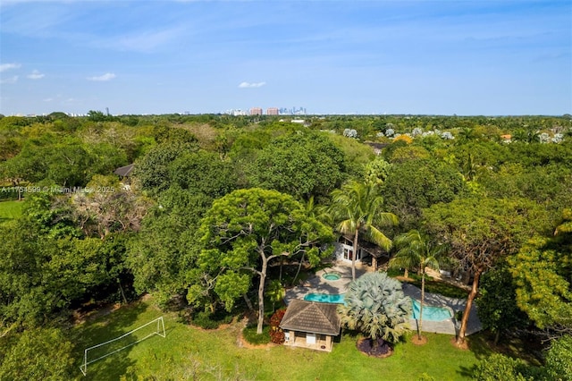 9000 Arvida Dr, Coral Gables, FL 33156 - drone / aerial view