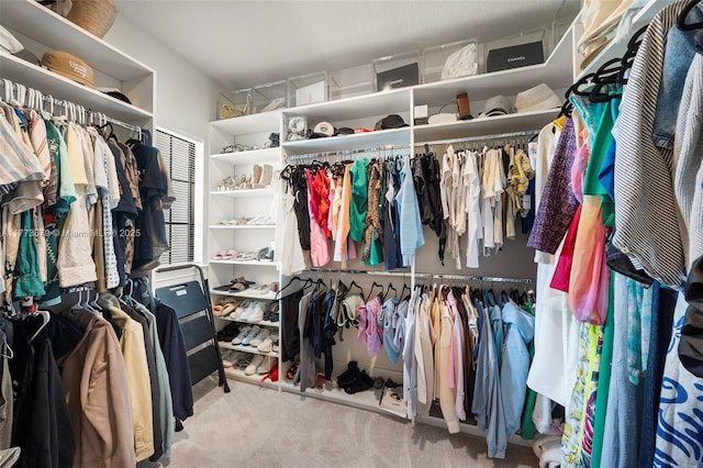 walk in closet featuring carpet floors