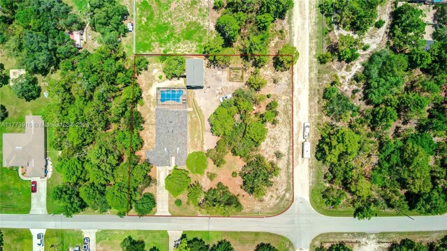 11288 Flower Ave, Spring Hill, FL 34613 - photo 4