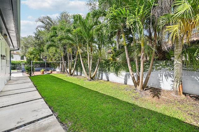5703 SW 83rd St, South Miami, FL 33143 - photo 56